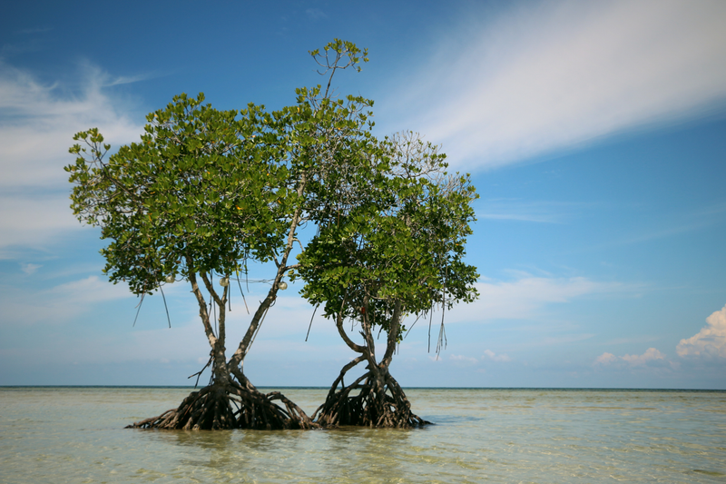 Illustration for article titled Your Guide To Island Hopping The Philippines